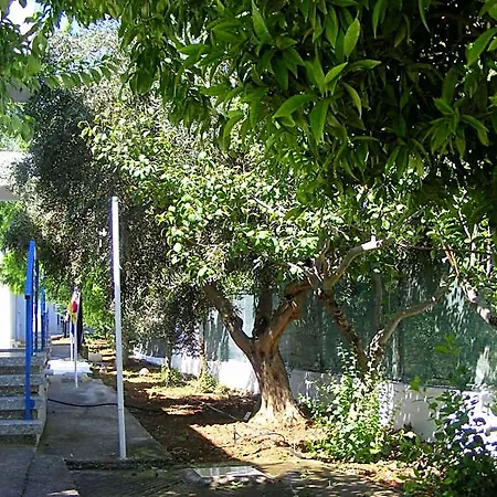 Flokkas 4* Protaras
